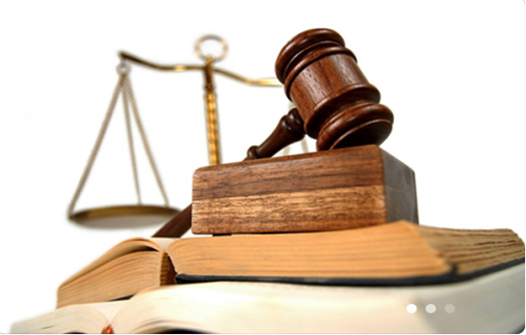 THỦ TƯỚNG YÊU CẦU THANH TRA CHÍNH PHỦ LÀM ĐÚNG CHỈ ĐẠO